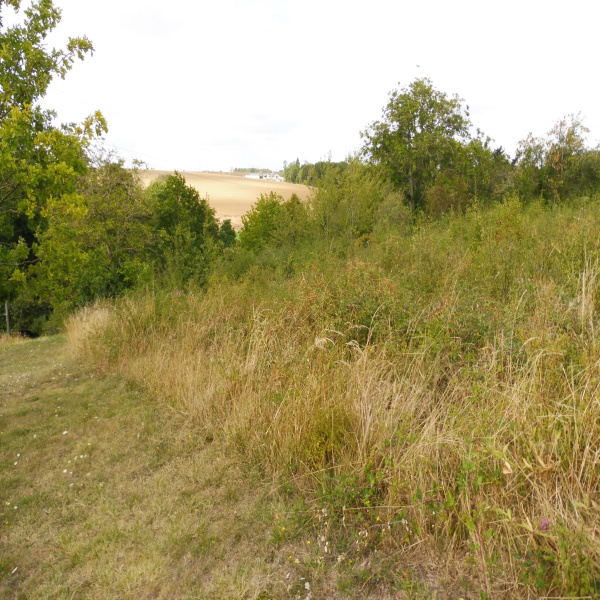 Offres de vente Terrain Vendôme 41100