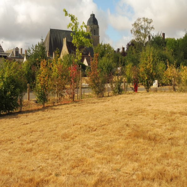 Offres de vente Terrain La Ville-aux-Clercs 41160