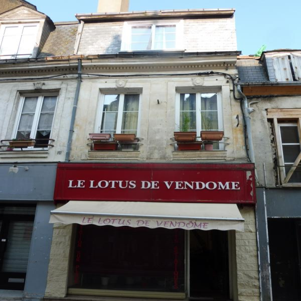 Offres de vente Immeuble Vendôme 41100