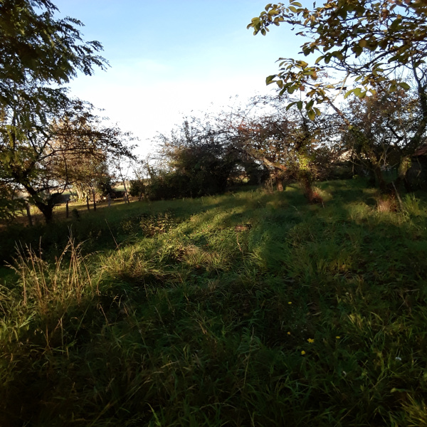 Offres de vente Terrain Lancé 41310