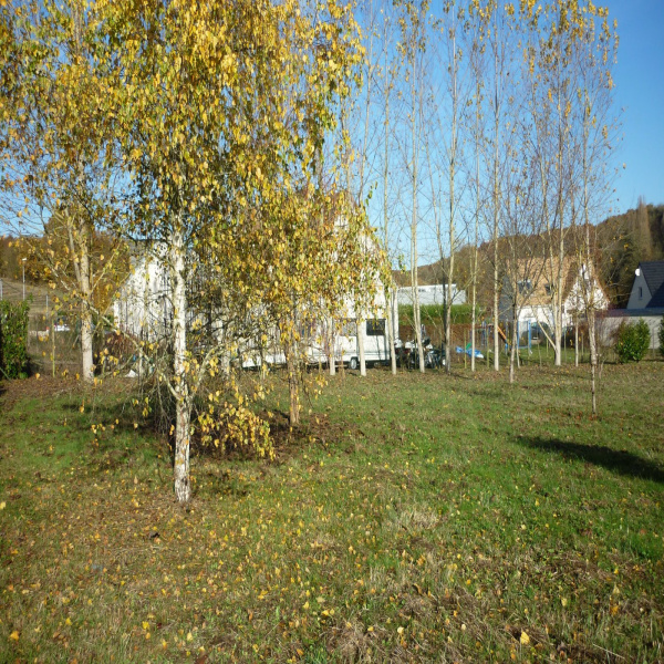 Offres de vente Terrain Lunay 41360