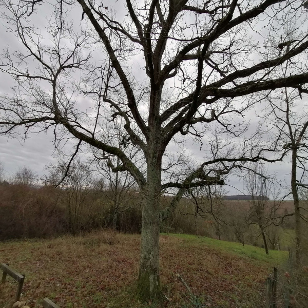 Offres de vente Terrain Vendôme 41100